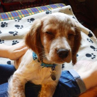 Elaine Marriott's avatar