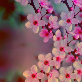 Cassy James's avatar