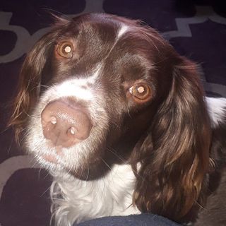 Helen Sobey Was Thain's avatar