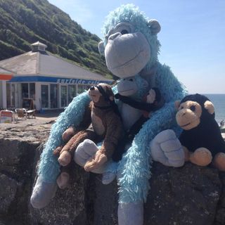 Dave Gorman's avatar