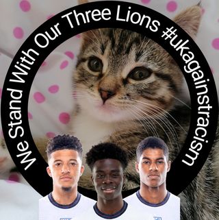 Donna Meadows's avatar