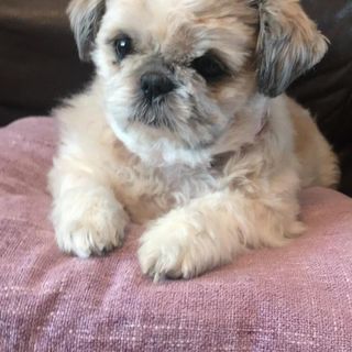 Marj Taylor's avatar