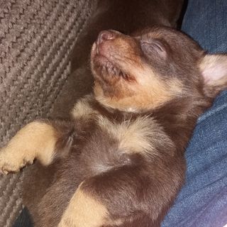 Jacky Cutler's avatar