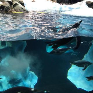 Martin Burford's avatar