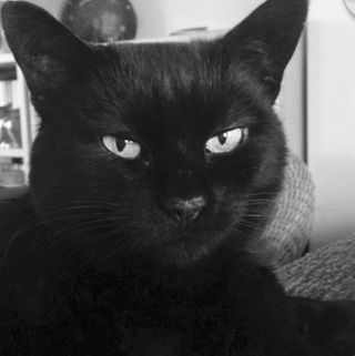 Gracie Greenway's avatar