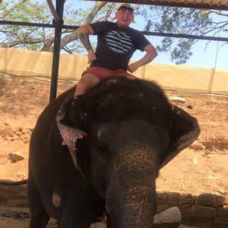 Wayne Mcgarrigan's avatar