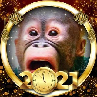 Simon Pearce's avatar