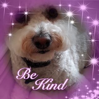 Sue Taggart's avatar