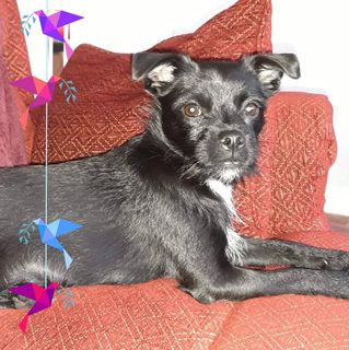 Audrey Cartwright's avatar