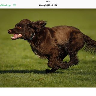 Gareth Davies's avatar