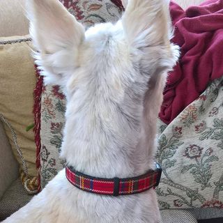 David Robinson's avatar