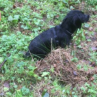 Tony William Whittred's avatar