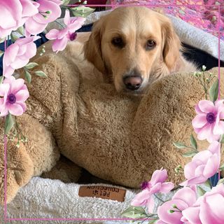 Delia Giusto's avatar