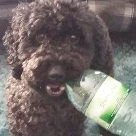 Gillian Heaney's avatar