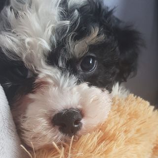 Lynne Adderton's avatar