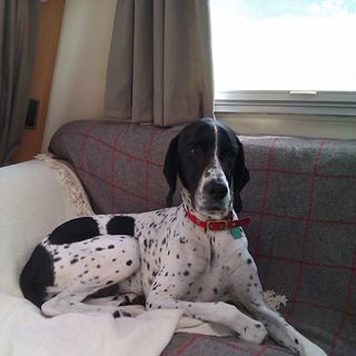 Roy Blackwell's avatar