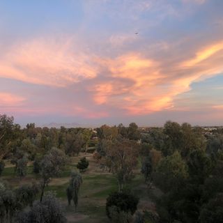 Tony Di Matteo's avatar