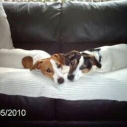 Heather Mallett's avatar