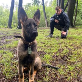 Dave Beeley's avatar