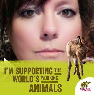 Carolyn Autton's avatar