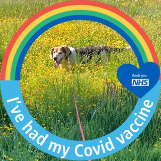 Lynn Balmer's avatar