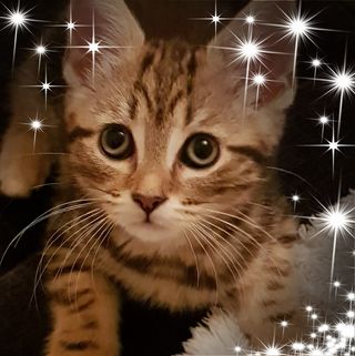 Tracey Turner's avatar