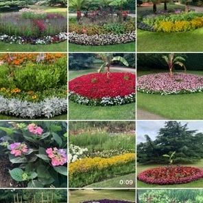 Lydia Dzangare's avatar