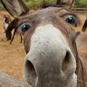Karen Theyer's avatar