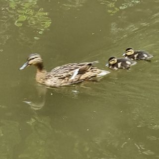 Sarah Cable's avatar