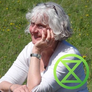 Jill Shepherd's avatar