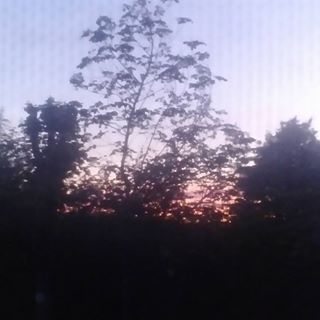 Teresaoo Baker's avatar