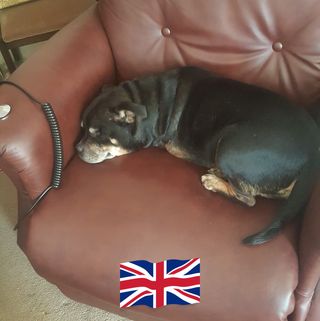 Basil Rodway's avatar