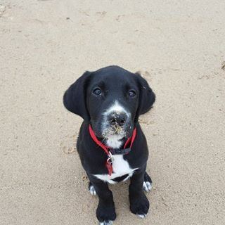 Jayne Wilson's avatar