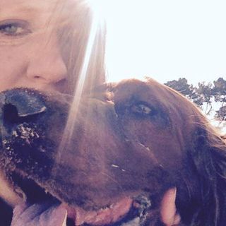 Lucy Perkins's avatar