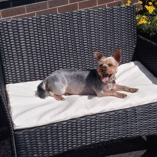 Ciarian O Dochartaigh's avatar