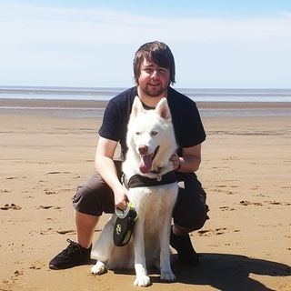 Daniel Hill's avatar