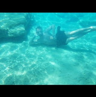 Terry Whitman's avatar