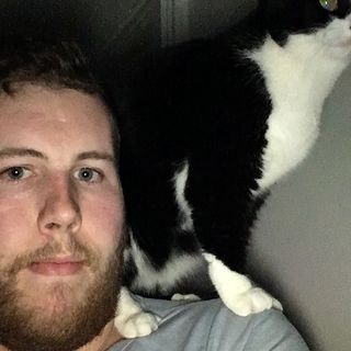 Stuart Wilson's avatar