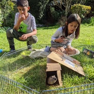 Mahesh Patel's avatar