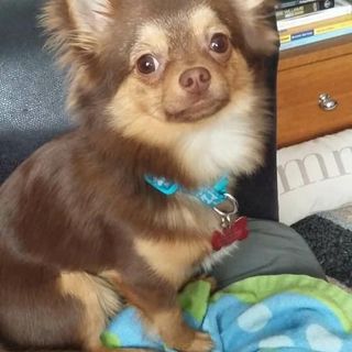 Heath Mortimer's avatar