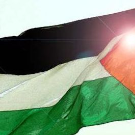 Adil Gondal's avatar