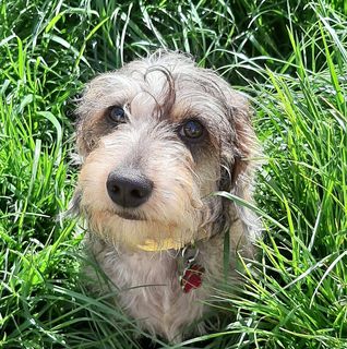 Jude Davies's avatar