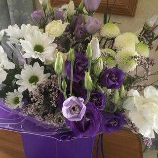 Anne Pothos's avatar