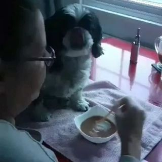 Garry Marsh's avatar