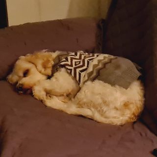 Ben Masters-Stevens's avatar