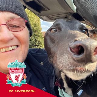 Marion Mazza Von K's avatar