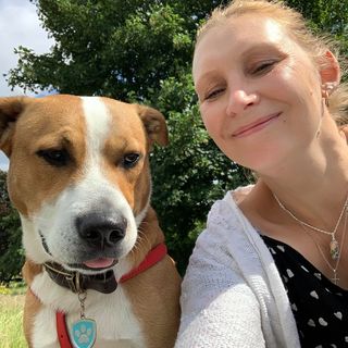 Alison Prince's avatar