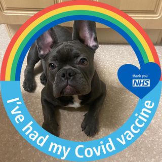 Dave N Em Sutton's avatar