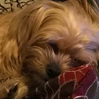 Fiona Porter's avatar