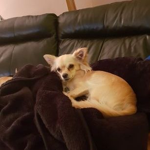 Samantha Jane Murphy's avatar